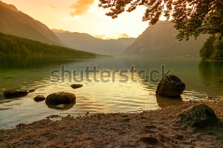 Puesta de sol lago parque valle agua madera Foto stock © Fesus