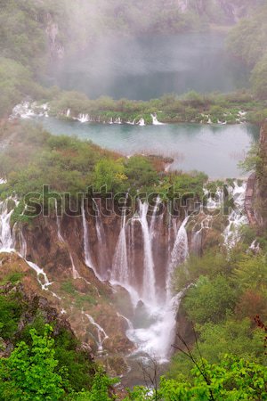 Croatie forêt cristal eau nature feuille [[stock_photo]] © Fesus