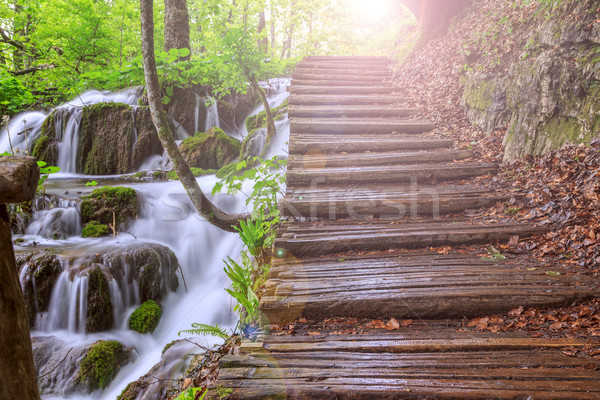 Stock photo: Boardwalk in the park