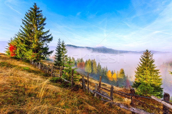 Colorful autumn landscape in the Carpathian mountains Stock photo © Fesus