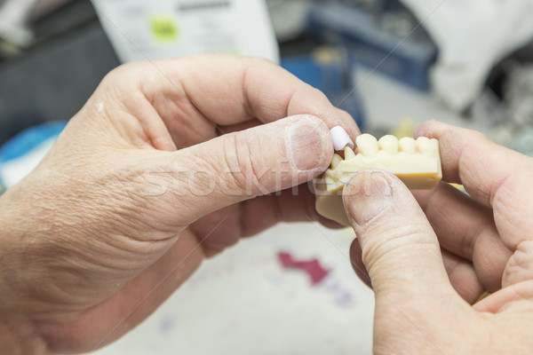 Stok fotoğraf: Diş · teknisyen · çalışma · 3D · basılı