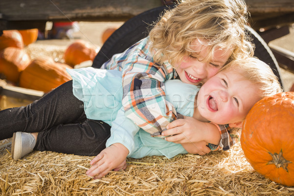 Little Boy Playing with His Baby Sister at Pumpkin Patch Stock photo © feverpitch
