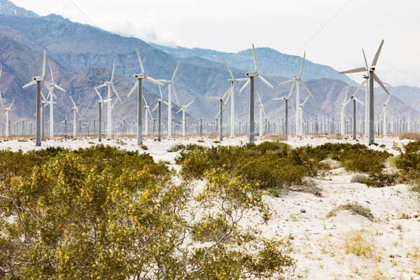 Drammatico turbina eolica farm deserto California nubi Foto d'archivio © feverpitch