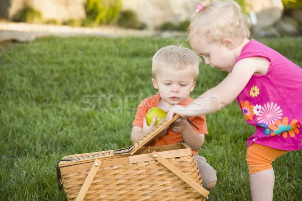 Brother and Sister Toddlers Playing with Apple and Picnic Basket Stock photo © feverpitch
