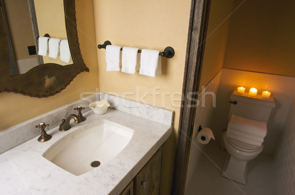 Rustic Bathroom Scene Stock photo © feverpitch