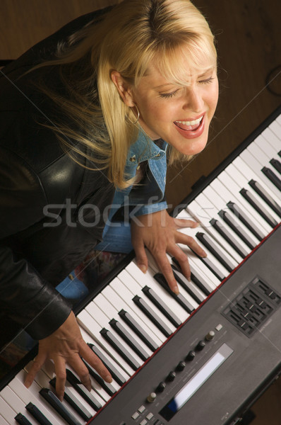 Female Musician Performs Stock photo © feverpitch