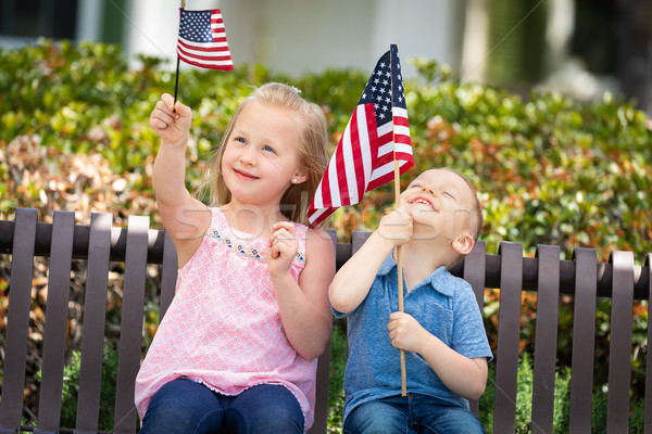 Young Sister and Brother Comparing Each Others American Flag Siz Stock photo © feverpitch