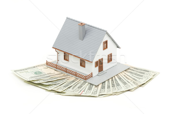Home and Money Stock photo © feverpitch