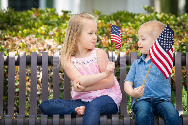 Young Sister and Brother Comparing Each Others American Flag Siz Stock photo © feverpitch