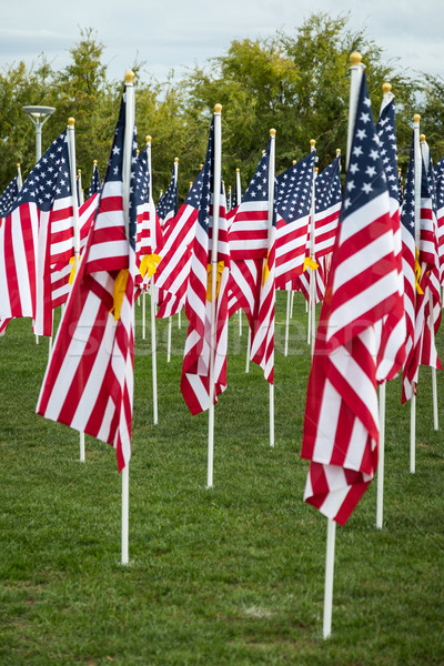 Mező nap amerikai zászlók integet szellő Stock fotó © feverpitch
