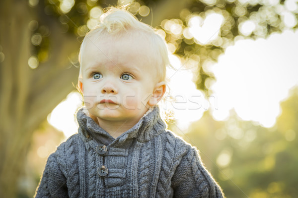 Adorable Blonde Baby Boy Outdoors at the Park Stock photo © feverpitch