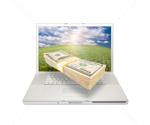 Stock fotó: Laptop · boglya · pénz · képernyő · ezüst · számítógép