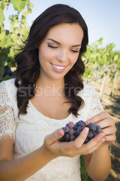 Young Adult Woman Enjoying The Wine Grapes in The Vineyard Stock photo © feverpitch