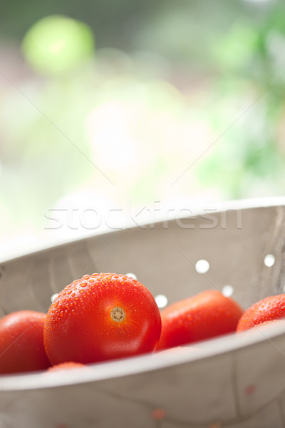 świeże wibrujący roma pomidory makro metal Zdjęcia stock © feverpitch