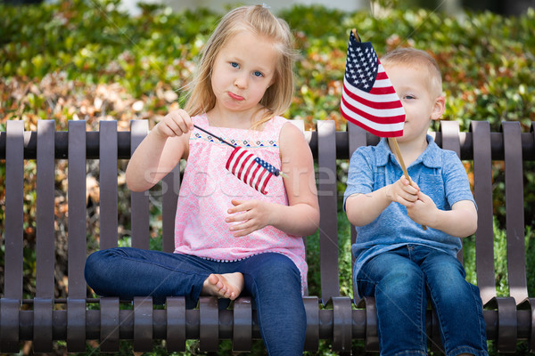 Young Sister and Brother Comparing Each Others American Flag Siz Stock photo © feverpitch
