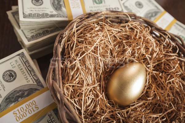 Golden Egg in Nest and Thousands of Dollars Surrounding Stock photo © feverpitch