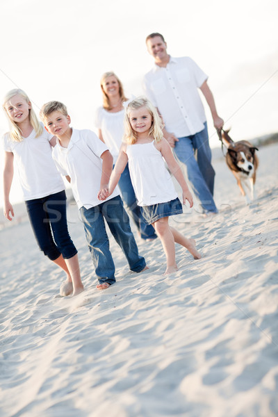 Adorable Little Girl Leads Her Family on a Walk Stock photo © feverpitch