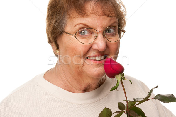 Attractive Senior Woman with Red Rose Stock photo © feverpitch