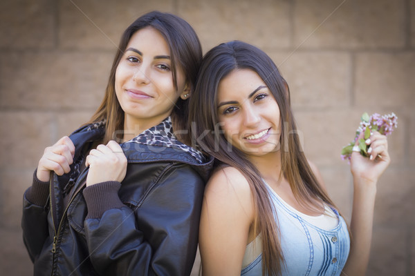 Zwei twin Schwestern Porträt schönen Stock foto © feverpitch