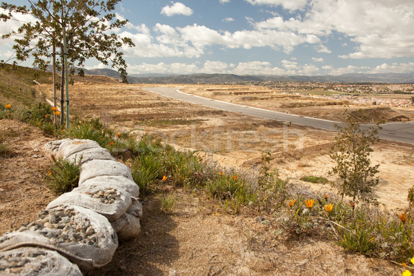 Construction Lot On Hold During Recession Stock photo © feverpitch