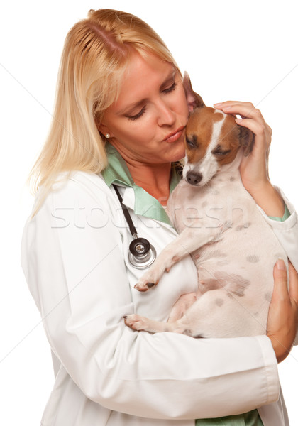 Привлекательная женщина врач ветеринар небольшой щенков изолированный Сток-фото © feverpitch