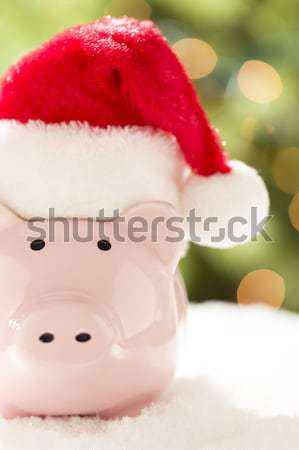 Pink Piggy Bank Wearing Santa Hat Near Stacks of Money on Snowfl Stock photo © feverpitch