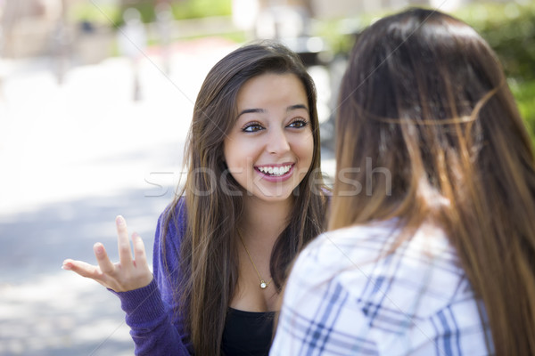 Expressief jonge halfbloed vrouwelijke vergadering praten Stockfoto © feverpitch