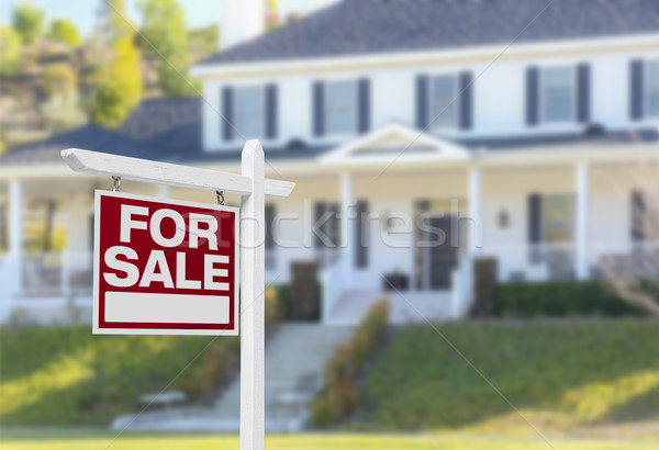 Home For Sale Sign in Front of New House Stock photo © feverpitch