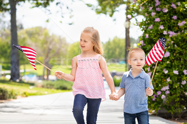 Young Sister and Brother Waving American Flags At The Park Stock photo © feverpitch