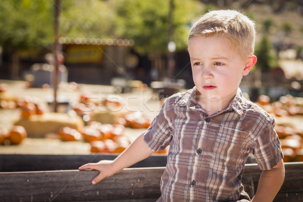 Stock photo: Little Boy Standing Against Old Wood Wagon at Pumpkin Patch
