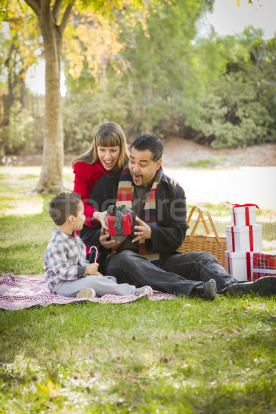 Foto stock: Familia · Navidad · regalos · parque