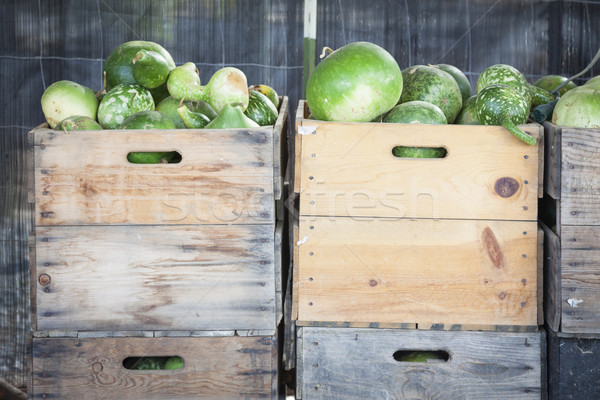 Stock photo: Fresh Fall Gourds and Crates in Rustic Fall Setting
