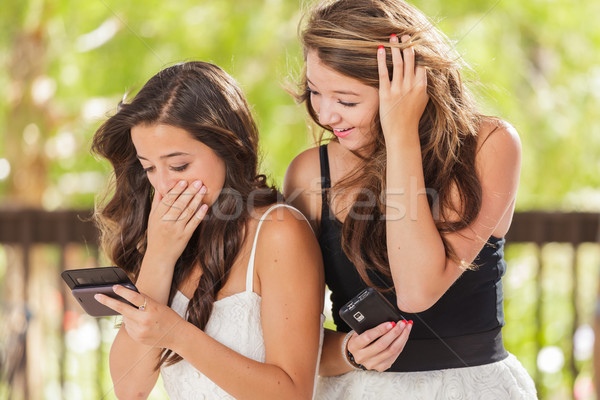 Two Expressive Mixed Race Girlfriends Using Their Smart Cell Pho Stock photo © feverpitch