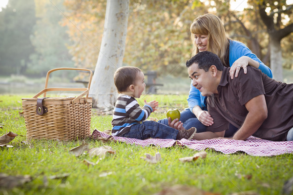 Stock photo: Happy Mixed Race Ethnic Family Having Picnic In The Park