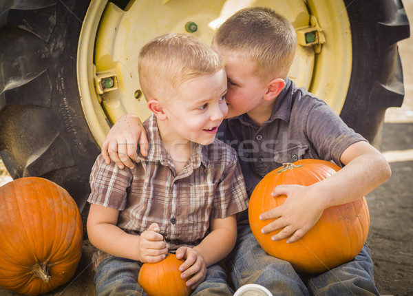 Two Boys Sitting Against Tractor Tire Holding Pumpkins Whisperin Stock photo © feverpitch