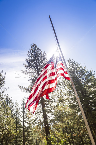 Dramático mitad bandera de Estados Unidos cielo muertos militar Foto stock © feverpitch