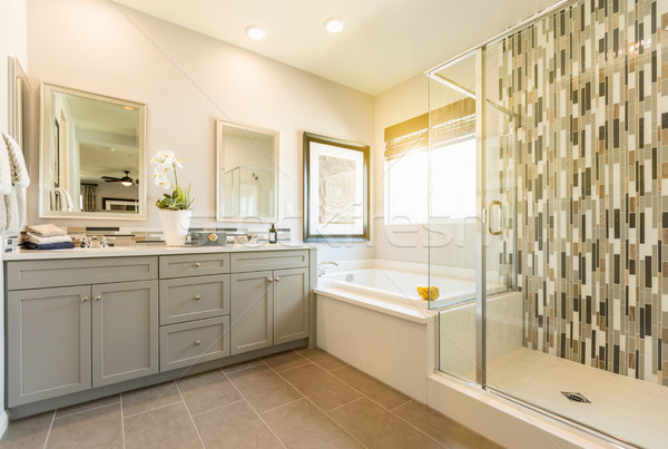 Mooie gewoonte meester badkamer huis home Stockfoto © feverpitch