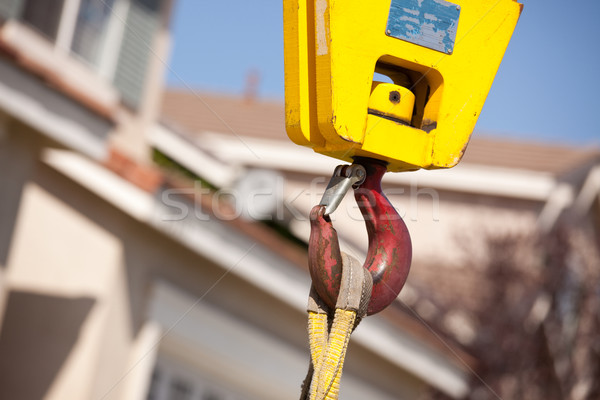 Stock photo: Yellow Crane Head with Red Hook