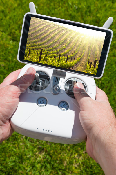 Hands Holding Drone Quadcopter Controller With Beautiful Grape V Stock photo © feverpitch