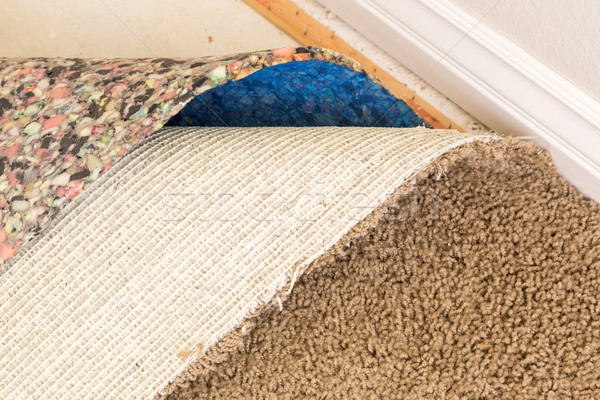 Pulled Back Carpet and Padding In Room Stock photo © feverpitch
