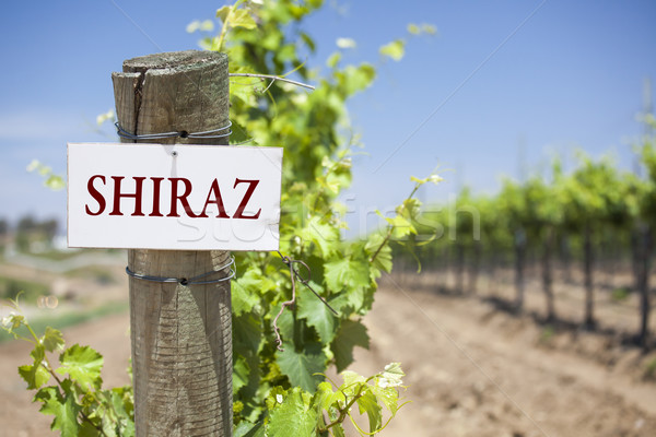 Shiraz Sign On Vineyard Post Stock photo © feverpitch