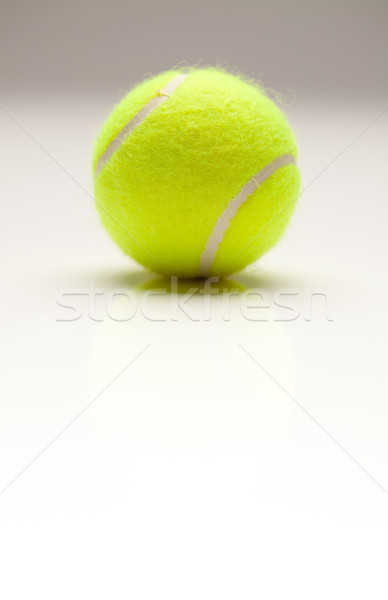 Single Tennis Ball on Gradation with Slight Reflection Stock photo © feverpitch