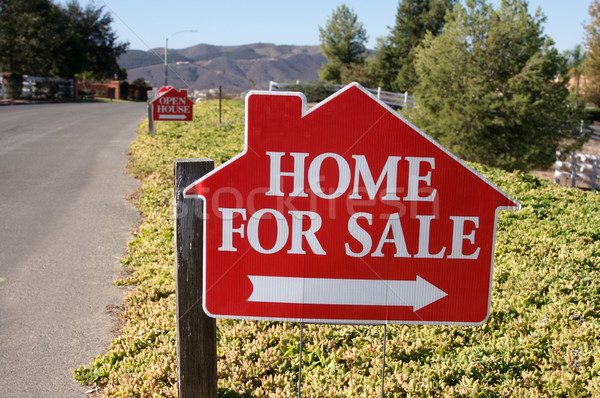 Home For Sale Signs Stock photo © feverpitch