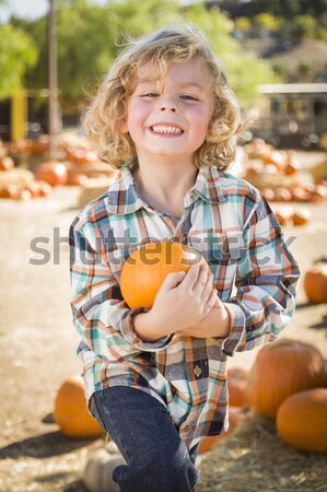Little Boy Holding His Pumpkin at a Pumpkin Patch Stock photo © feverpitch