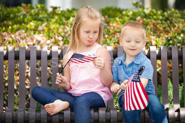 Young Sister and Brother Comparing Each Others American Flag Siz Stock photo © feverpitch