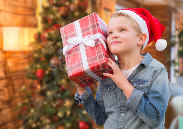 Stock foto: Junge · tragen · hat · halten · Weihnachten