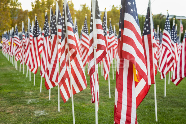 Dziedzinie dzień amerykański flagi wietrzyk Zdjęcia stock © feverpitch