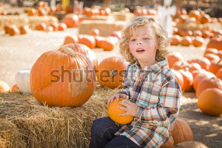 Little Boy Holding His Pumpkin at a Pumpkin Patch Stock photo © feverpitch