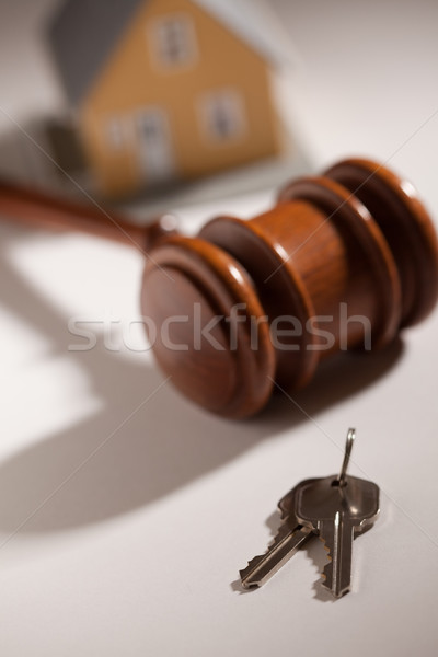 Gavel, House Keys and Model Home Stock photo © feverpitch