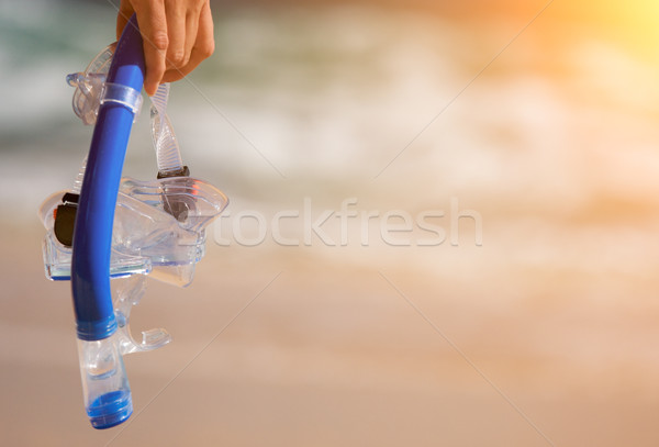 Woman Holding Snorkeling Gear Stock photo © feverpitch